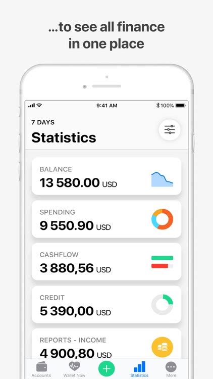 wallet daily budget and profit